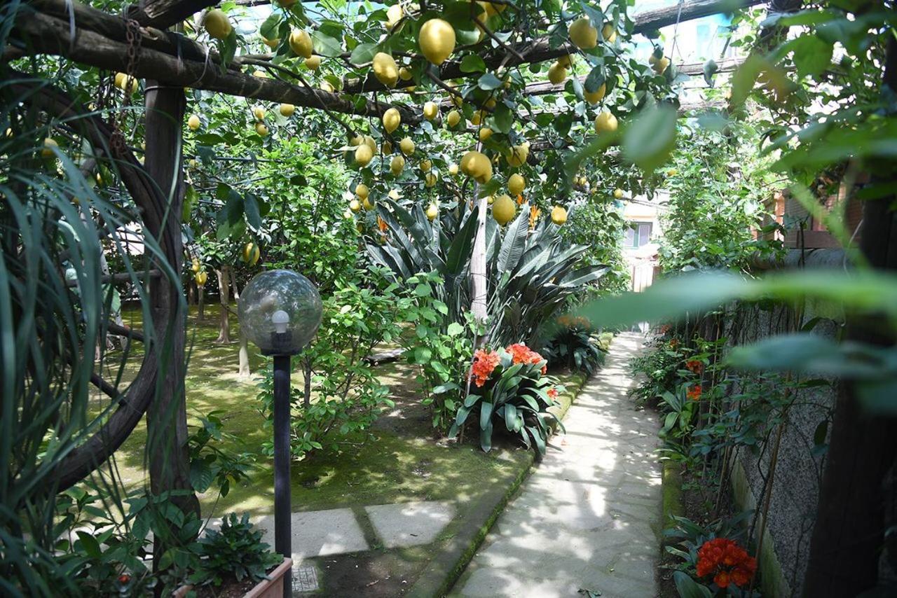 Bed and Breakfast Anthea Península Sorrentina Exterior foto